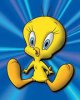 tweety.jpg