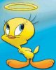 tweety1.jpg