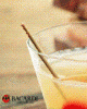 Bacardi41002.GIF