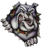 logo-main-bulldog.png