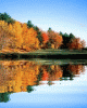 herbst1.gif