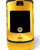 Motorola.gif