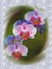 Orchidee03.gif