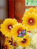 Sonnenblumen.gif