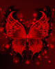 butterfly3.gif