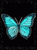 blauer Schmetterling.gif