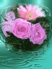 Meine Blumen01.gif