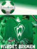 Werder_2.gif