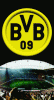 BVB2.gif