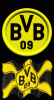 BVB4.gif