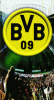 BvB_New3.gif