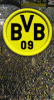 BvB_New4.gif