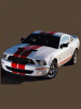 Ford-Mustang-Cobra.gif