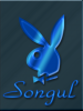 Bunny_Songul.png