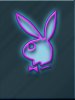 Bunny__Neon_Pink.jpg