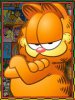 2-garfield.jpg