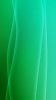 PSP-background green.jpg