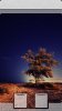 360x640_windy_night_by_SilentPain0.jpg