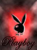 Cloudy_Playboy_Bunny.jpg