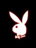 Red_Playboy_Bunny.jpg