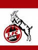 fckoeln.jpg