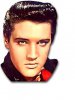 elvis1.jpg