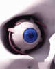 eye2fq5.gif